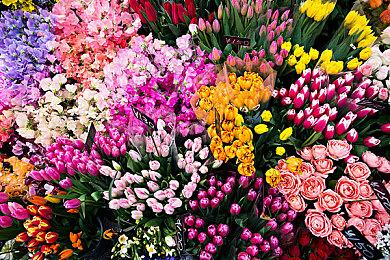 《命运2》扩展限时向所有玩家开放 持续至6月4日