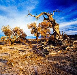 外星基地运营《Techtonica》Steam抢测 预定年内发售